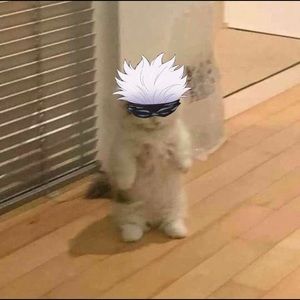 Meet your Posher, Will